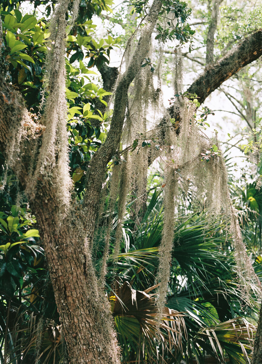 Kiawah River was the perfect setting for an elegant spring wedding in the lowcountry of South Carolina, where Spanish moss hangs from the old oak trees.