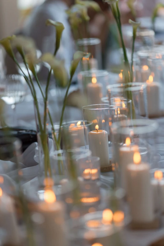 A Couture-Inspired Wedding for Ali and Bennett