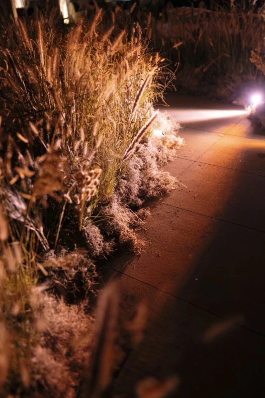 An Modern Wedding for Elizabeth and Matt