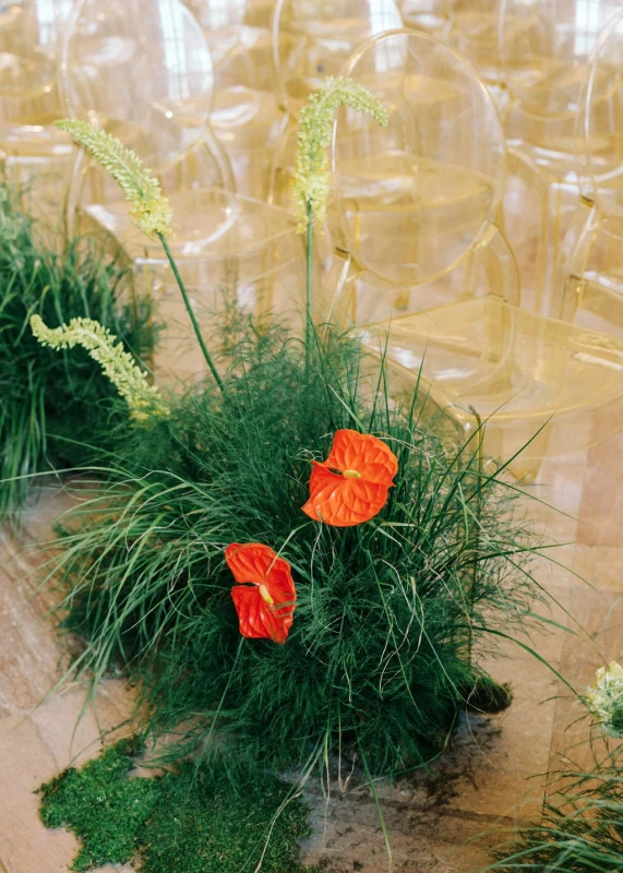 A Vibrant Wedding for Emily and Jason