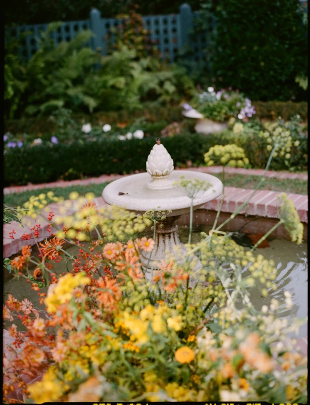 A Intimate Wedding for Iris and Lei
