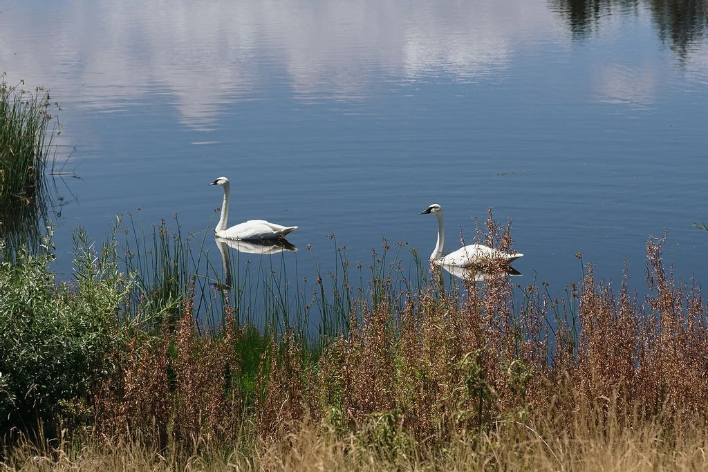 A Mountain Wedding for Jordan and Jack