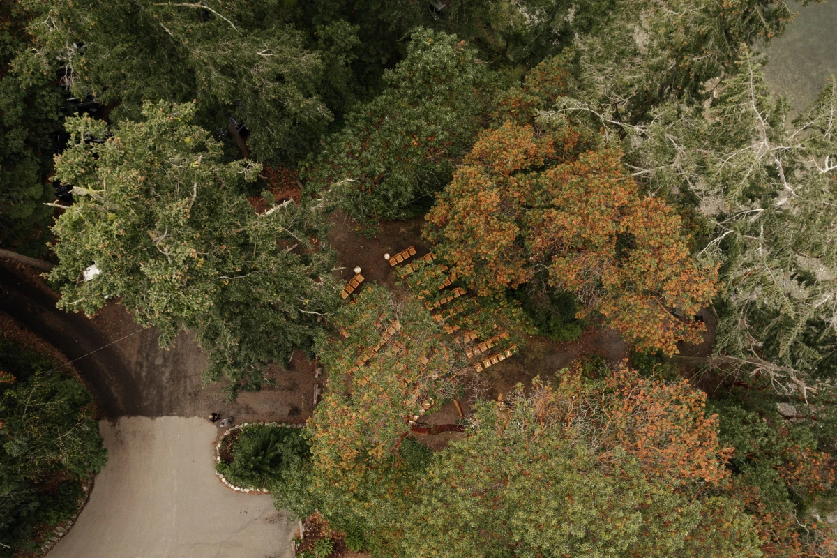 A Woodland Wedding for Jordan and Kai