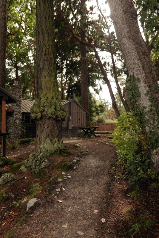 A Woodland Wedding for Jordan and Kai