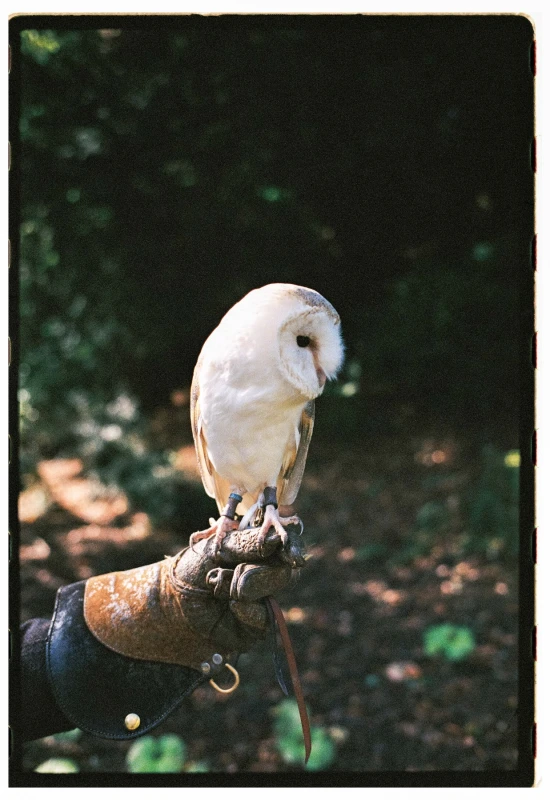 A Whimsical Wedding for Julie and Carie