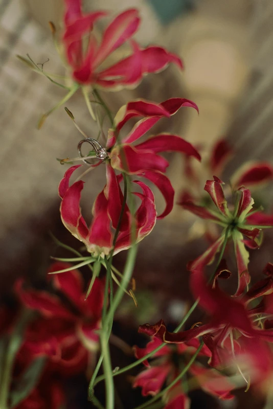 An Intimate Wedding for Leen and Ryan