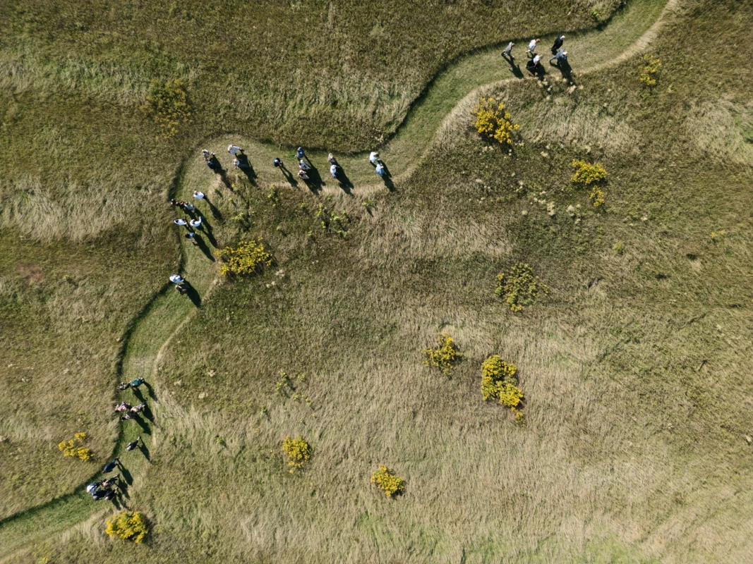 A Whimsical Wedding for Maddie and Bradley