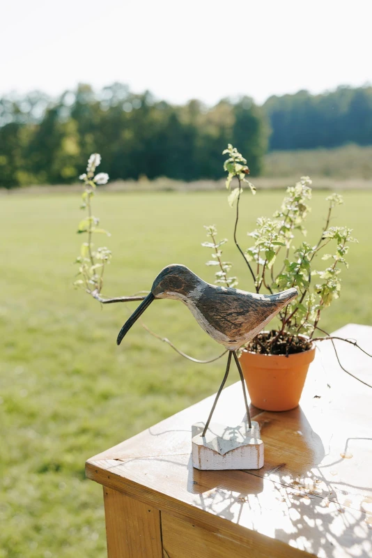 A Whimsical Wedding for Maddie and Bradley