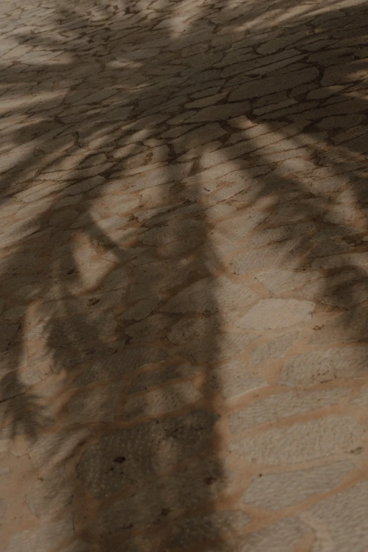 A Sun-Washed Wedding for Michaela and Jimmy