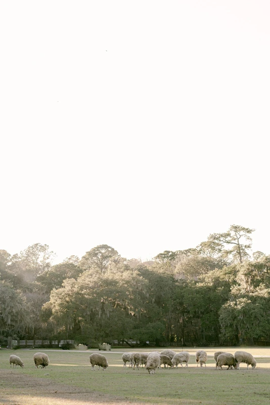 A Heartfelt Wedding for Molly  and Philippe 