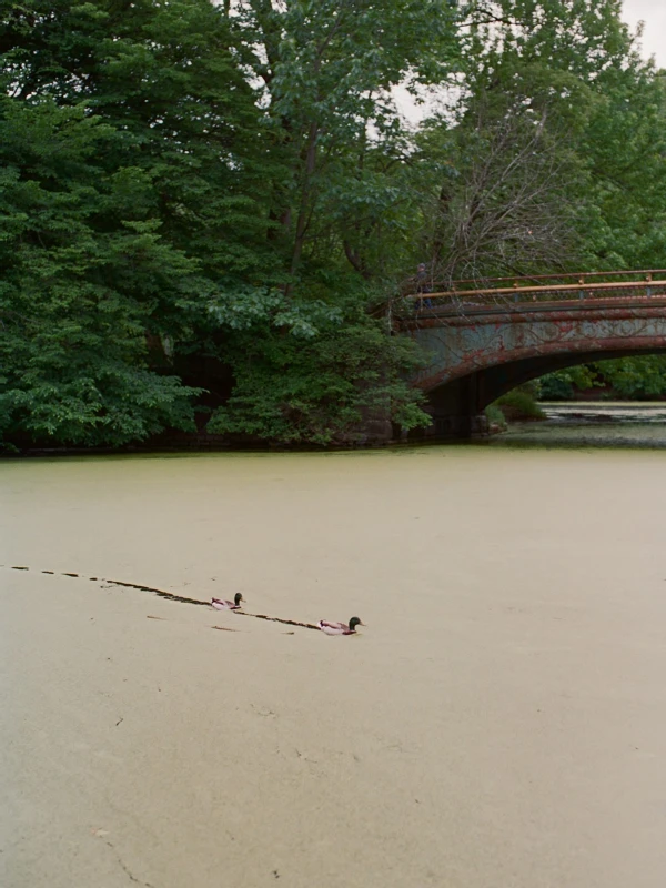 A Vintage Wedding for Rae and Eugen