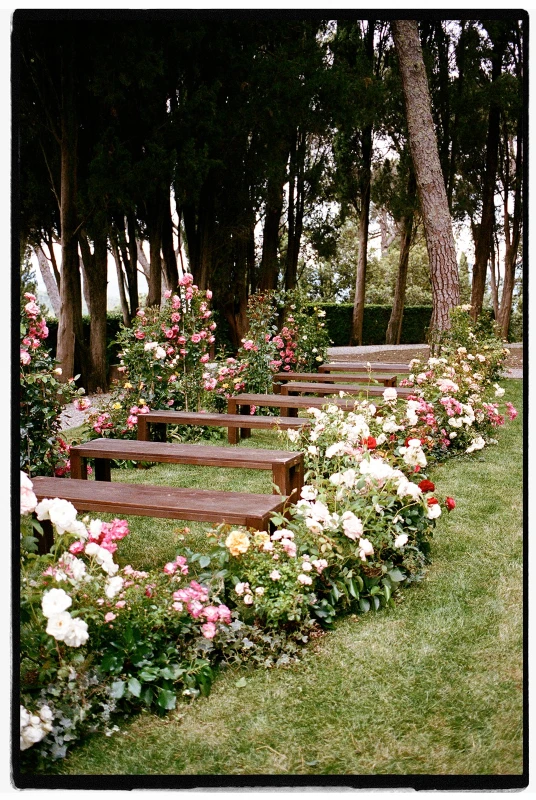 A Garden Wedding for Sarah and James