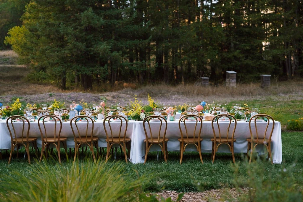 A Colorful Wedding for Sarah and Steven