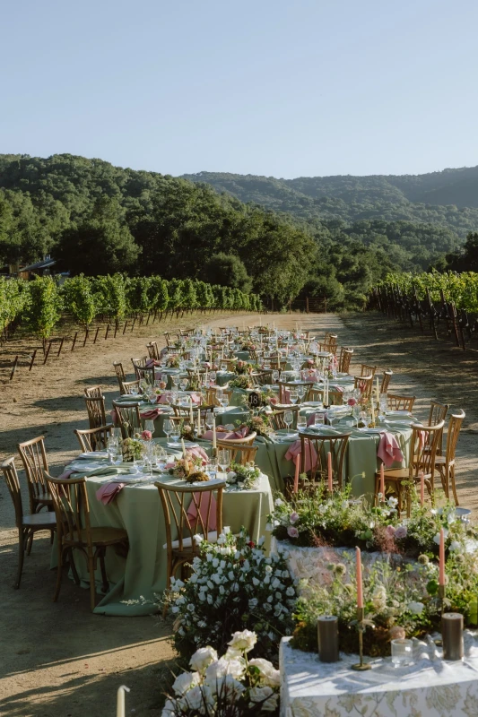 A Vineyard Wedding for Taylor and Brock