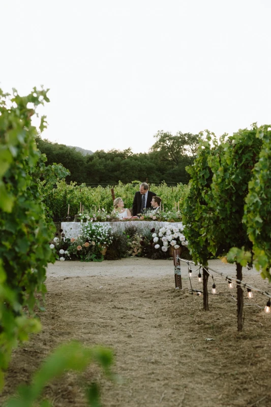 A Vineyard Wedding for Taylor and Brock