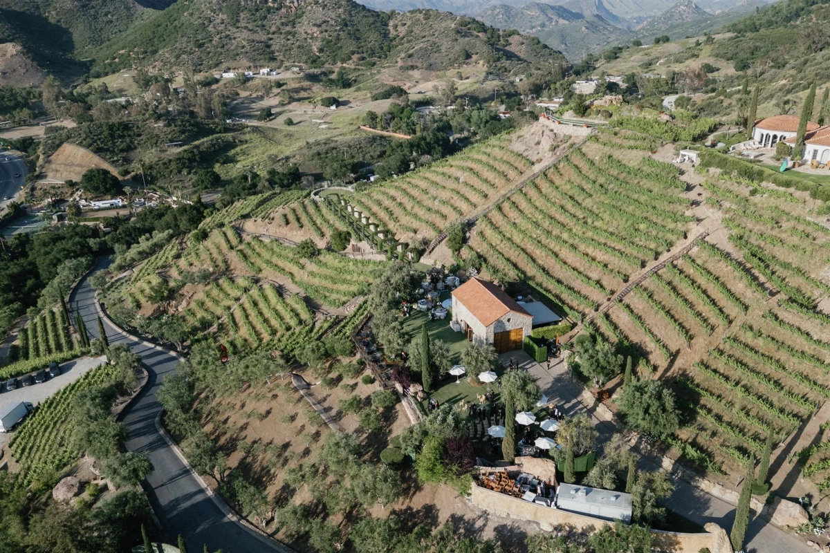 A Classic Wedding for Will and JC