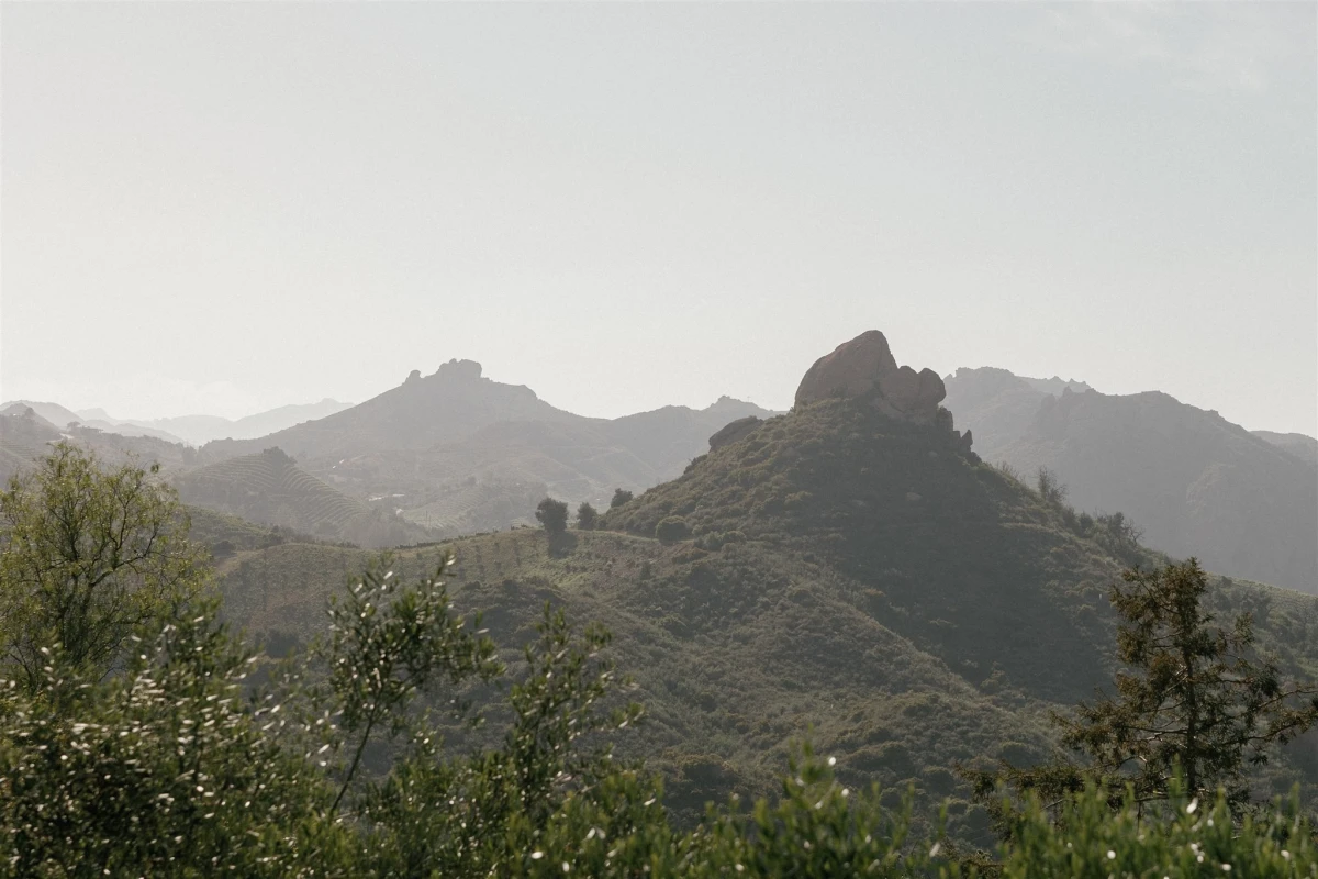 A Classic Wedding for Will and JC